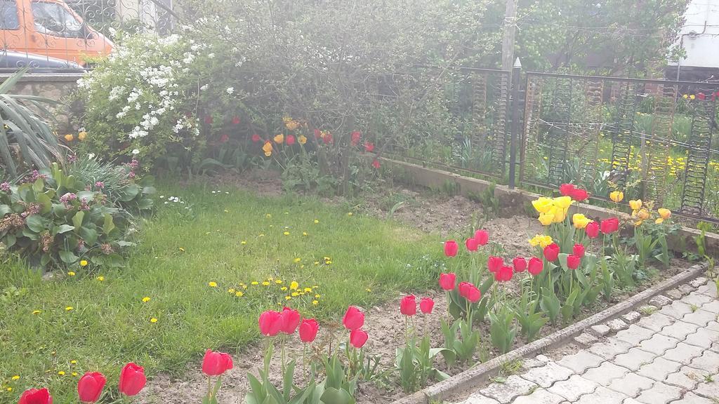 Álom Kuckó Apartman Zalaegerszeg Exterior foto