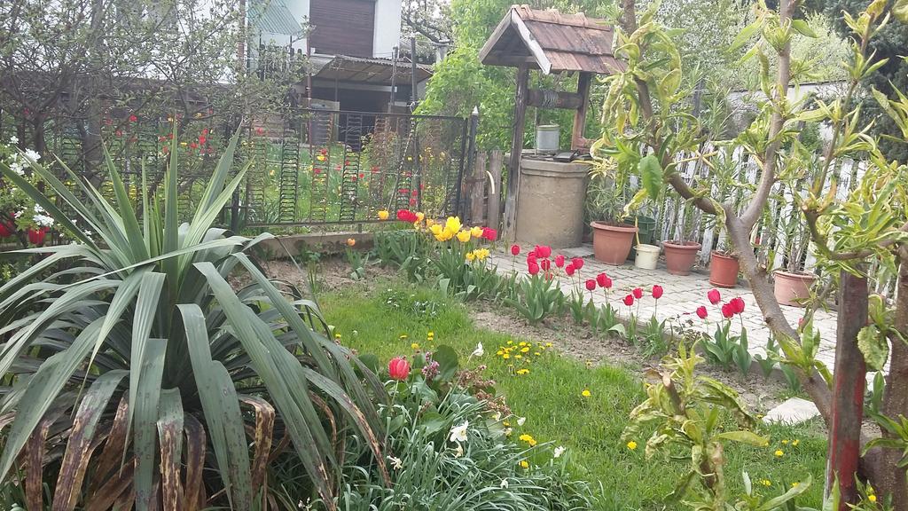 Álom Kuckó Apartman Zalaegerszeg Exterior foto